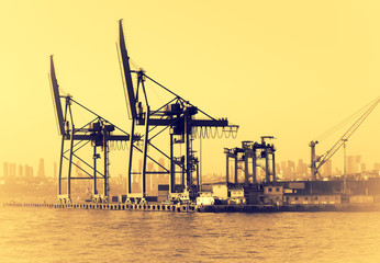 Obraz premium Industrial landscape with gantry cranes in sea port.