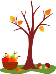 Fall Tree Illustration, Fruit Basket