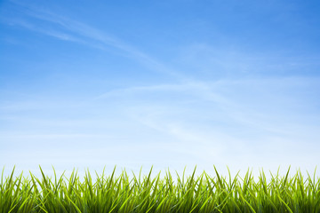 Blue sky with white clouds