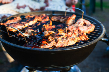 Pieces of meat roasting on the grill