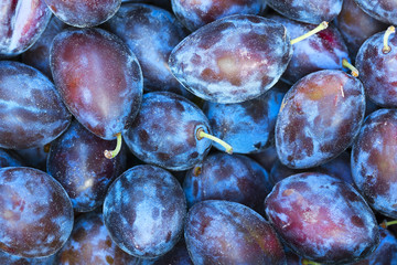 Plum