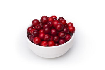 Cowberry (foxberry,lingonberry)