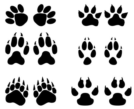 Set of animal  trails, footprints with name isolated on white background. silhouettes  illustration
