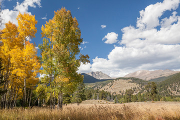 Obraz premium Colorado Mountain landscape in Fall