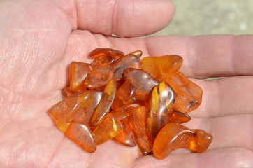 Янтарь на ладони.