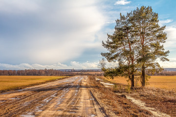 Дорога через поле © vredaktor