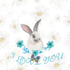 Lovely bunny card