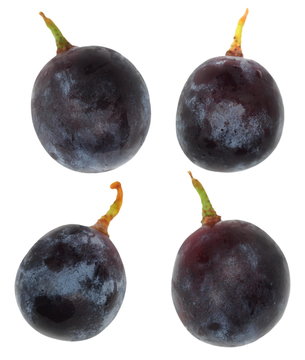 Grapes Isolated On White Background, With Clipping Path