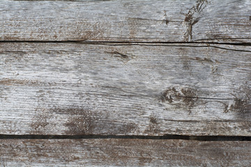 Holz Wood Texture