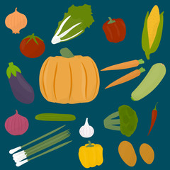 Collections of veggies