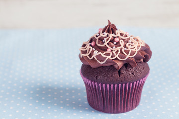 Homemade chocolate cupcake on blue polka dot background