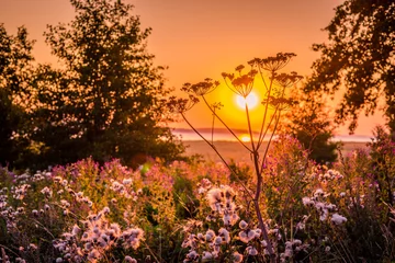 Sonnenaufgang über einer Wiese © Polarpx