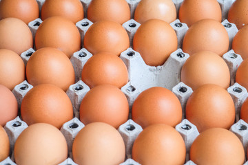 Eggs, one empty space