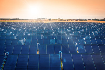 Solar park in the sunrise