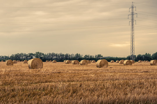 Round bales on a field with pylons
