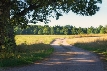 Countryside ground road in sunny day