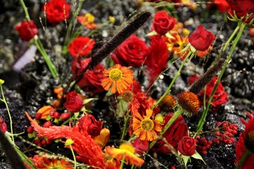 kompozycja 1 © paticzek88