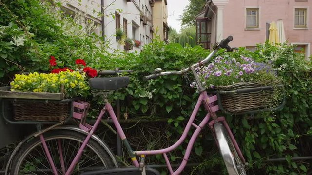 Close up slow motion panning shot of bicycle with flowers in village / Ulm, Germany