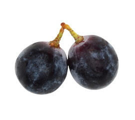black grape isolated on white, clipping path 