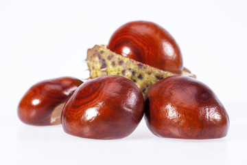 some fruits of chestnut isolated on white background