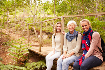 Three generations of women sitting in a forest, portrait