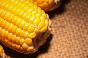Fresh corn cereal close-up