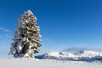 winter in Alps