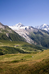 Fototapeta na wymiar Domaine de Balme Chamonix Mont Blanc