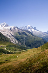 Fototapeta premium Domaine de Balme Chamonix Mont Blanc