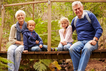 Naklejka na ściany i meble Grandparents with grandkids on bridge in a forest, portrait