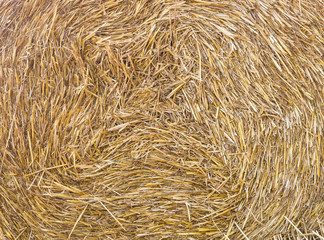 Straw bale close up