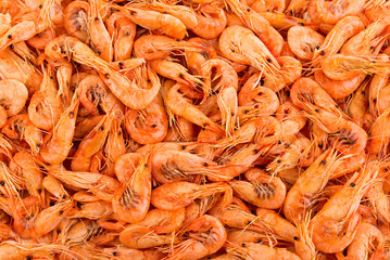 Shrimps close-up as a background