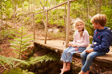 Naklejka na ściany i meble Young siblings sitting on wooden bridge in a forest