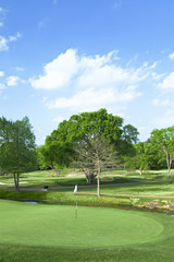 Golf Course Green