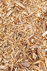 mulch background