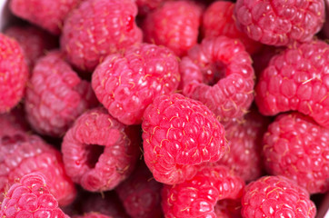 A beautiful selection of freshly picked ripe red raspberries