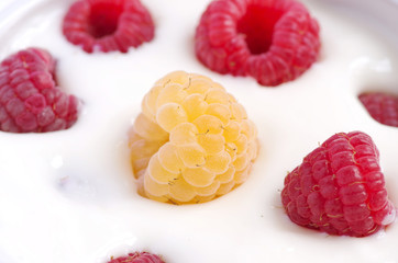 Natural yogurt with fresh raspberries