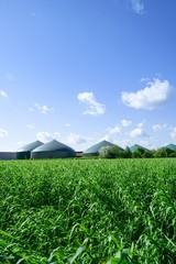Gärbehälter einer Biogasanlage