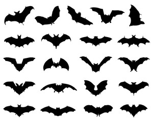 Black silhouettes of different bats, vector