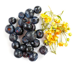 Herbal tea and blueberries spices isolated on white