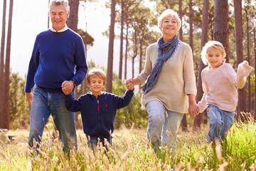 Grandparents and grandchildren walking in the countryside - obrazy, fototapety, plakaty