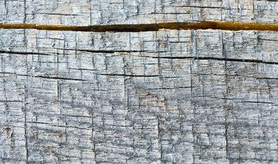 Abstract Vinage style wooden backgrond