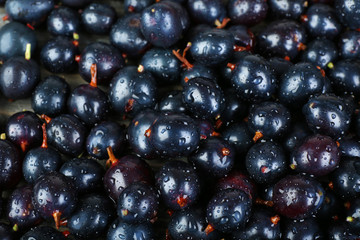 Heap of wild black currant close up