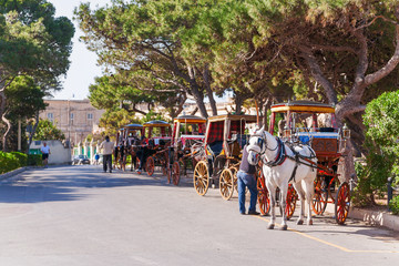 Row of horse with carriages in Mdina, old capital of Malta. Attraction for tourists. - obrazy, fototapety, plakaty