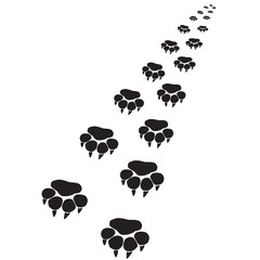 Naklejka premium Footprints of a big cat 5-vector 