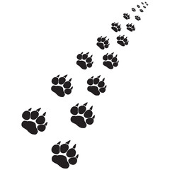 Fototapeta premium Footprints of a big cat 6-vector 