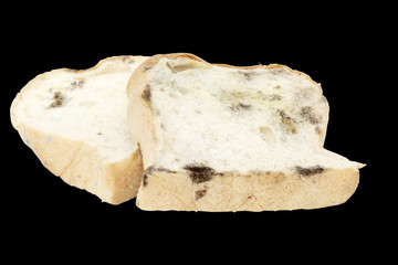 moldy bread