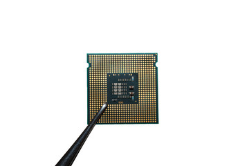 Processor in tweezers