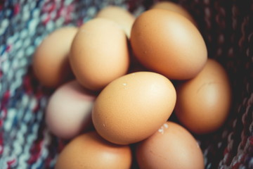 Fresh egg from a chicken farm