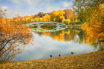 Теплая осень для уток в пруду Warm autum